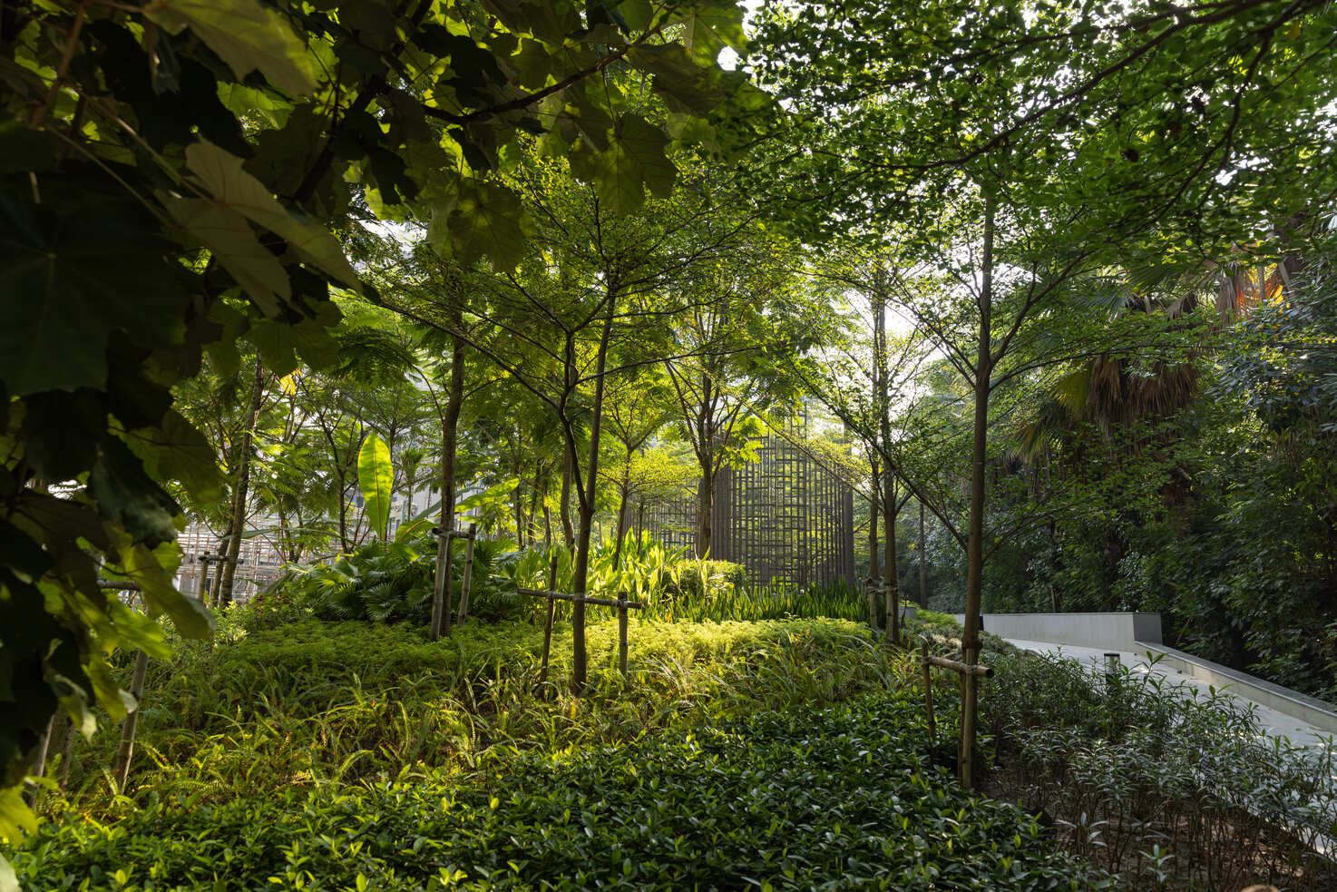 Forest Trail & Jungle Cabana